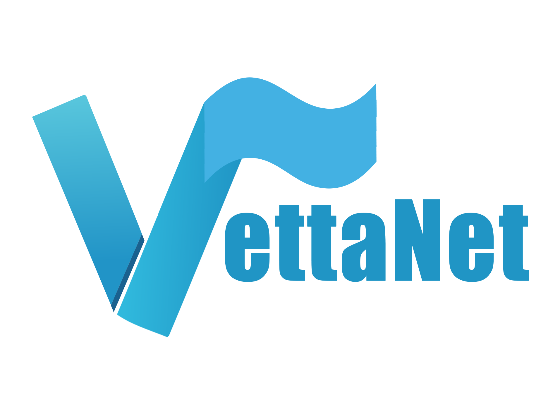 VettaNet